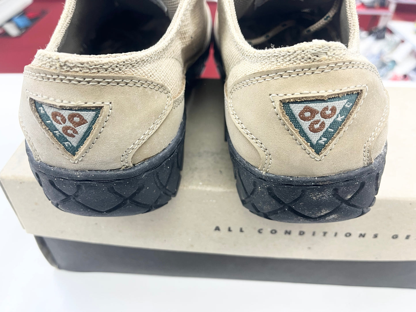 1995 Men Nike Zion ACG