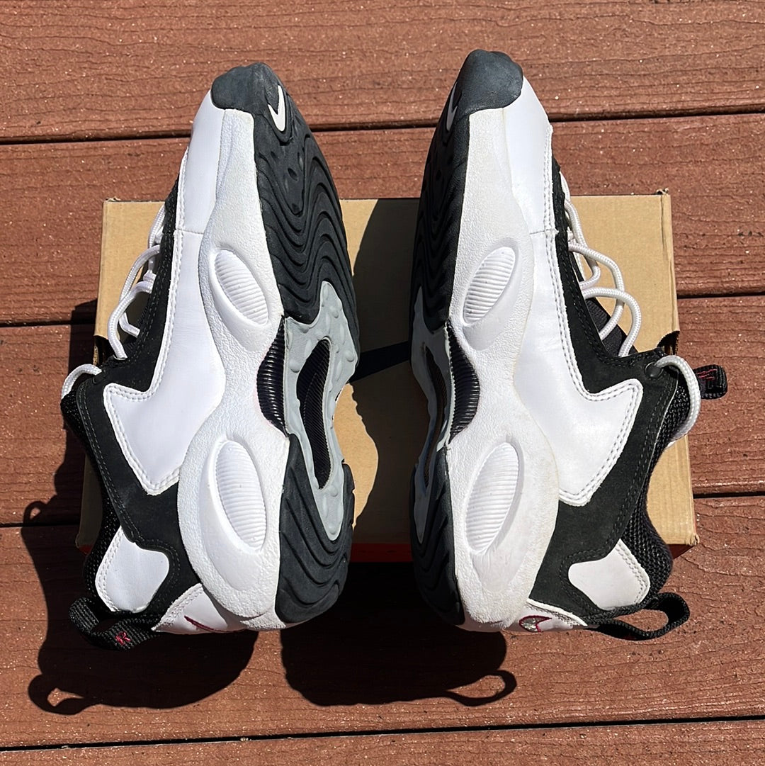 1995 DS Nike Air Lambaste.