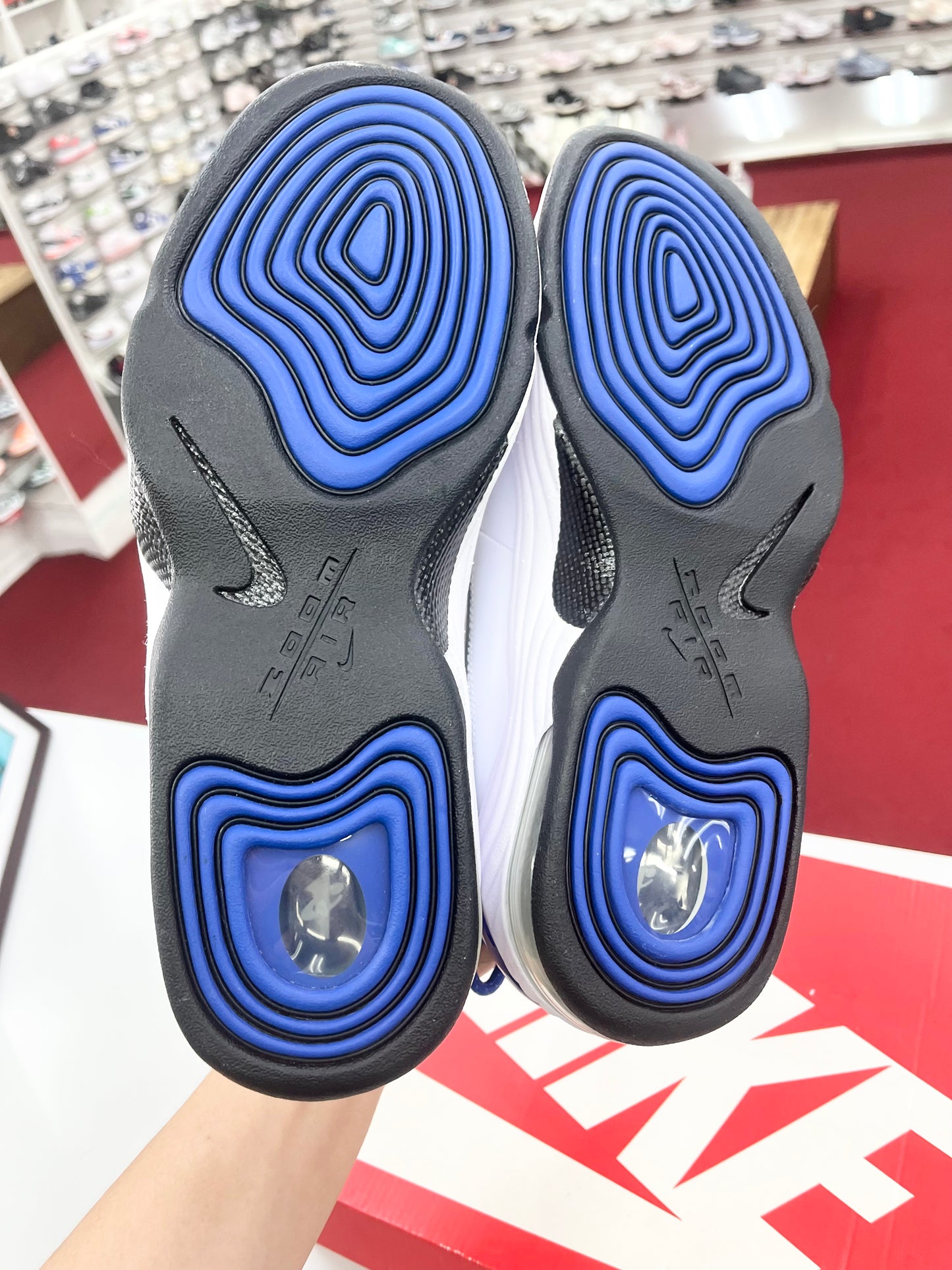 SZ 12 men.   2015 Nike Air Penny II.