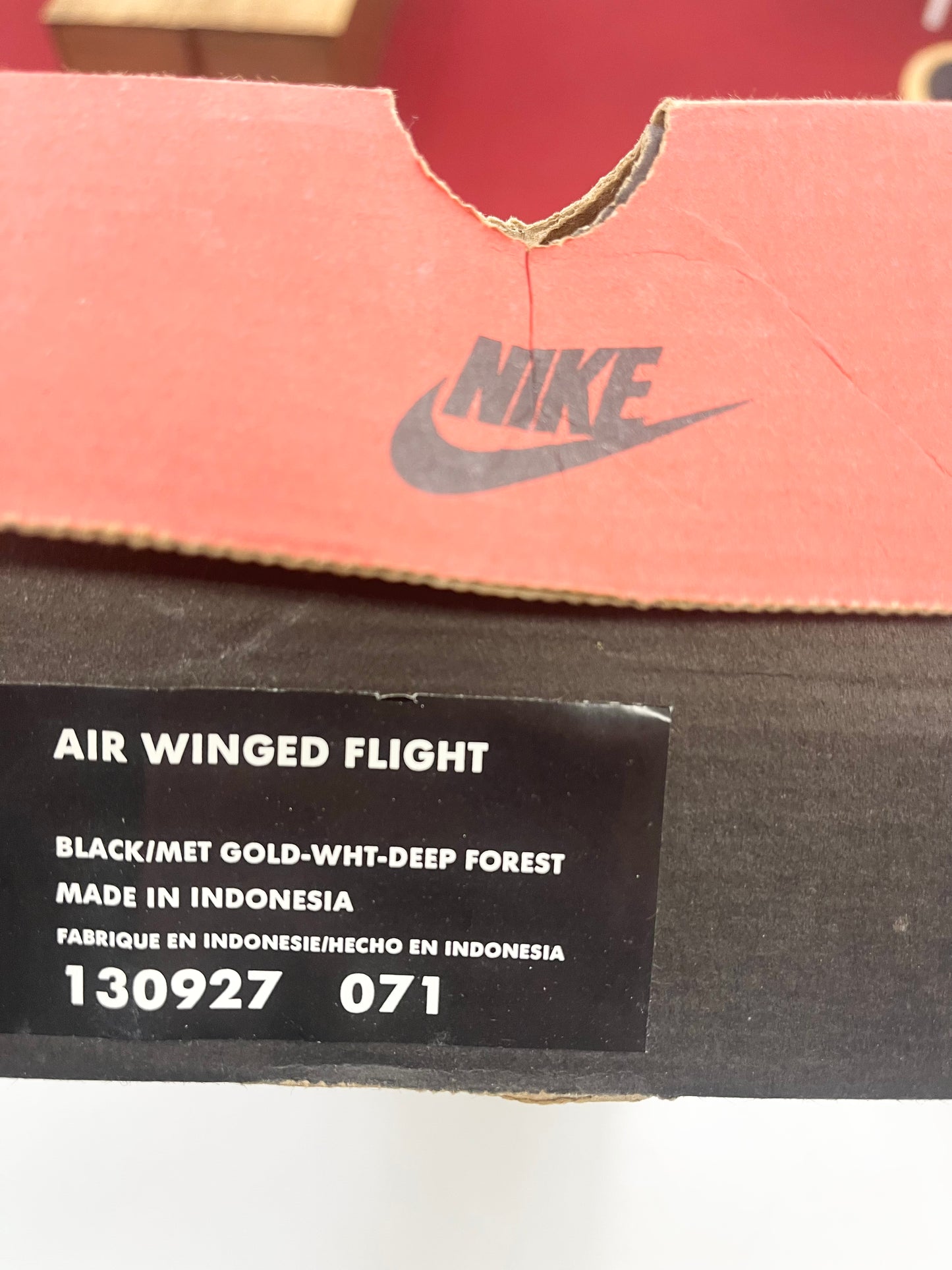 1997 Nike Air Winged Flight Deep Forest.