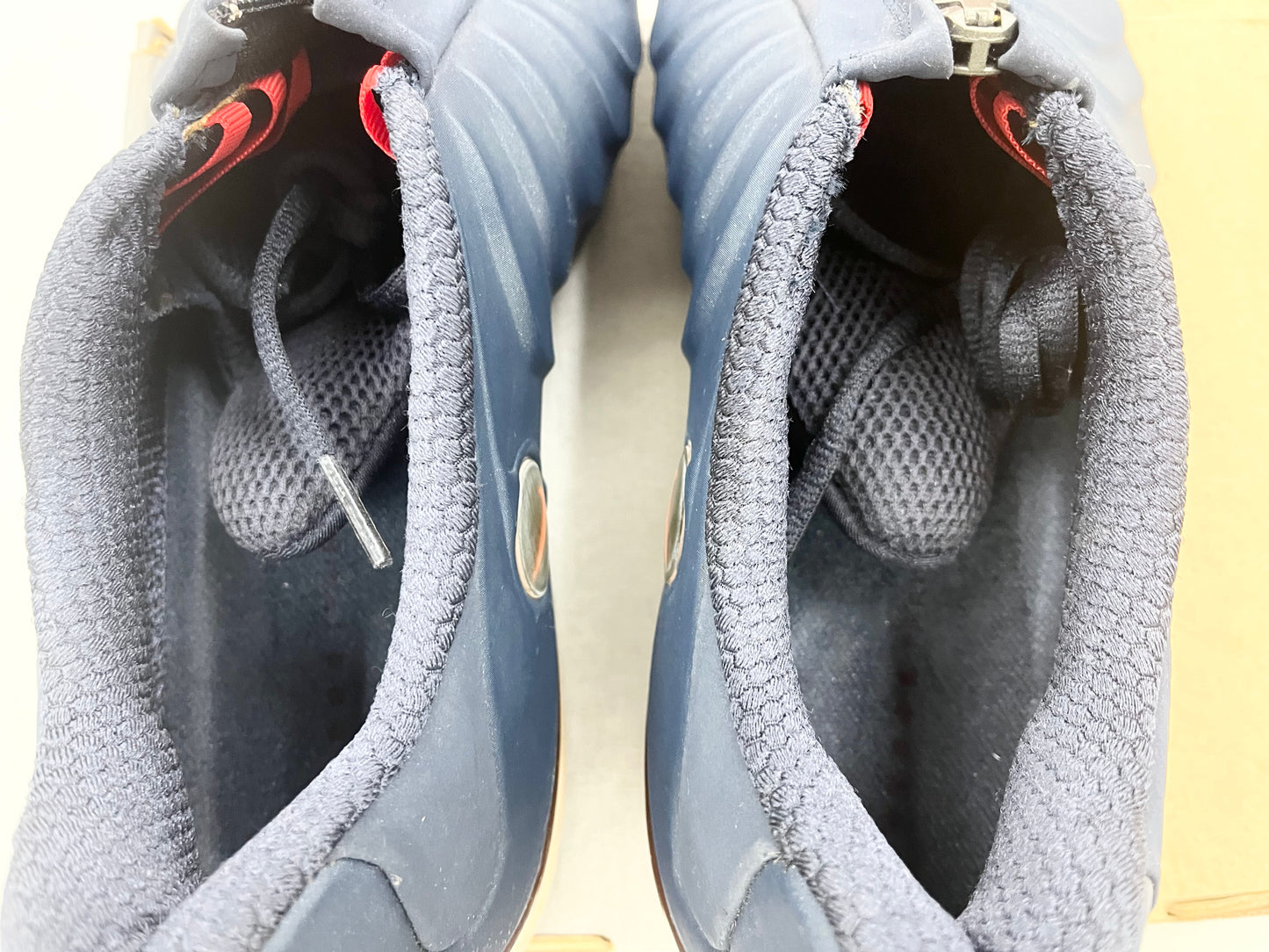 2001 Nike Air Fantaposite max.