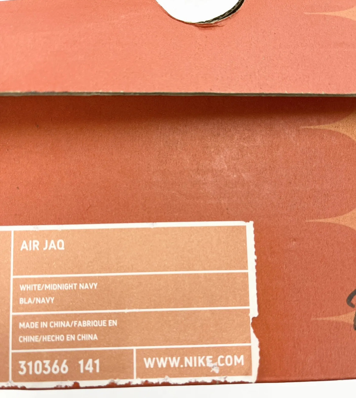 2005 Nike Air JAQ.