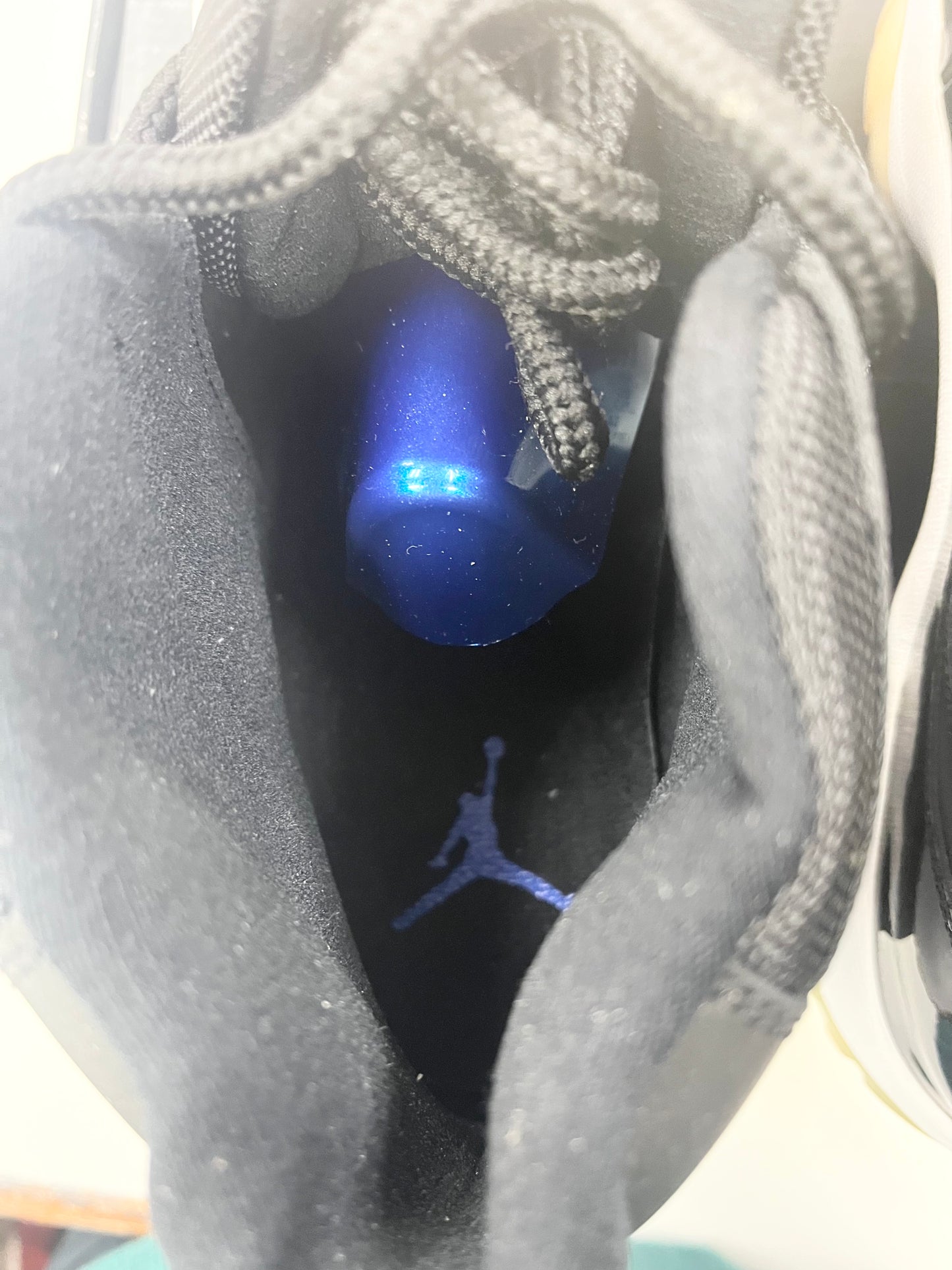 SZ 12 Men.  2009 Jordan XI Space Jam.